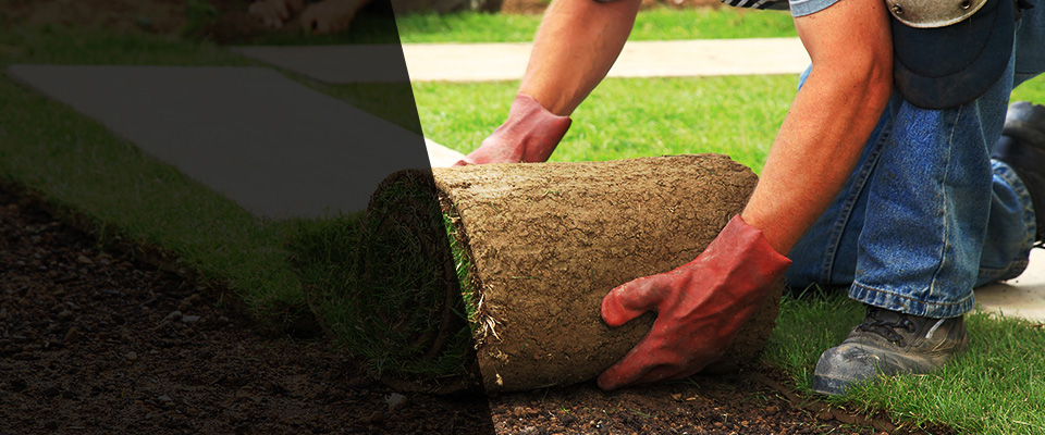 Santa Rosa Beach Landscapers